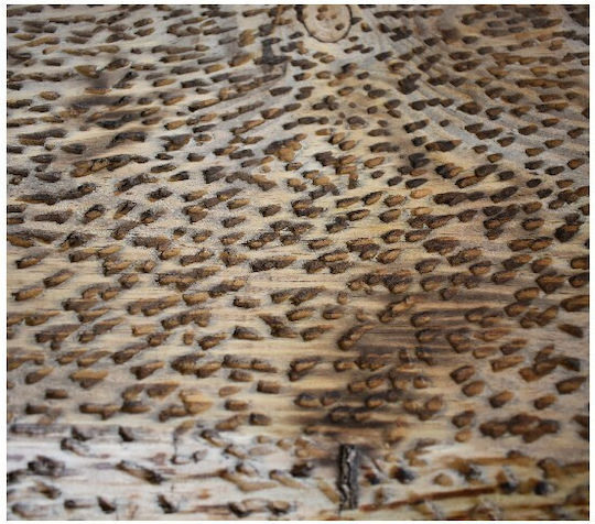 Nakaro Wood Ορθογώνια Πλάκα Σερβιρίσματος Ξύλινη