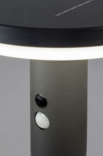 Led Solarleuchte Boden Column 250lm mit Kaltweiß Licht 5000K IP54