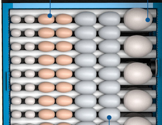 Automatic Egg Incubator 60 Eggs