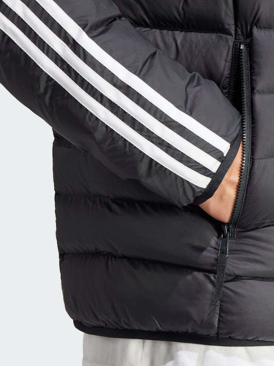 Originals Winter Jacke Puffer Schwarz