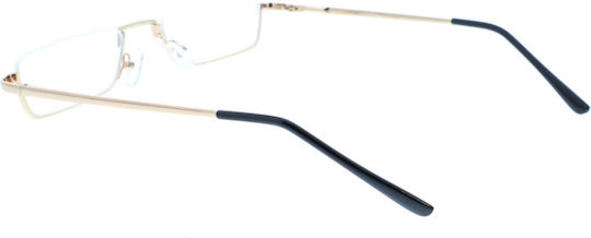 Michael Pachleitner Group Reading Glasses +1.50 in Gold color MB047A