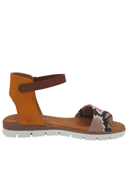 Creator Leather Women's Flat Sandals Anatomic in Brown Color