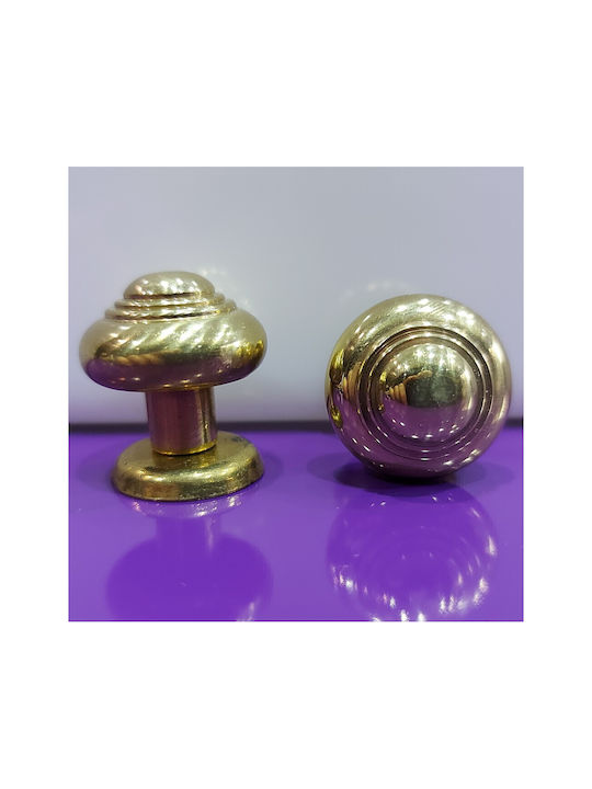 Eurofer Knob Furniture made of Metallic Gold-glossy 11389-000-BRZ2 1pcs