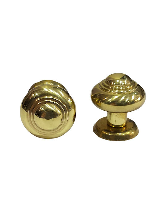 Eurofer Knob Furniture made of Metallic Gold-glossy 11389-000-BRZ2 1pcs