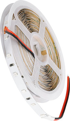 GloboStar LED Streifen Versorgung 24V mit Rot Licht pro Meter SMD2835