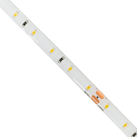 GloboStar Αδιάβροχη Ταινία LED 24V Θερμό Λευκό Φως 1m Τύπου SMD2835