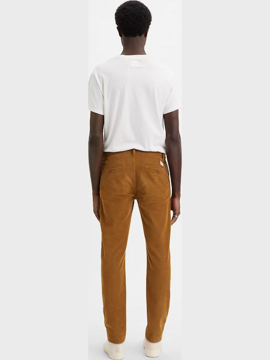 Xx Trousers Chino Elastic in Regular Fit Brown