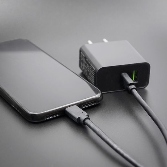 Qoltec USB 3.1 Cable USB-C male - USB-C Μαύρο 2m 52351