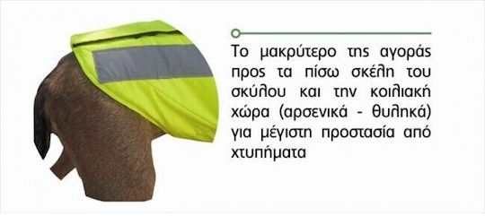 Outdoor Life Кучешки палта Жълт