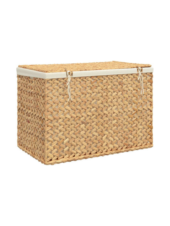 vidaXL Καλάθι Απλύτων Μεταλλικό με Καπάκι 75x42.5x52cm Καφέ