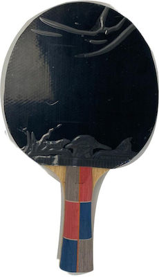 Sportica Ping Pong Racket for Professional Players