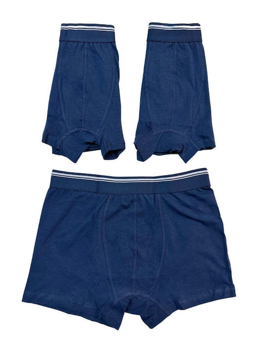 Berrak Men's Boxers Blue 3Pack