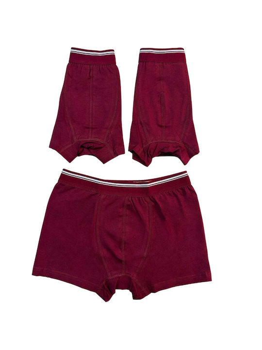 Berrak Men's Boxers Burgundy 3Pack