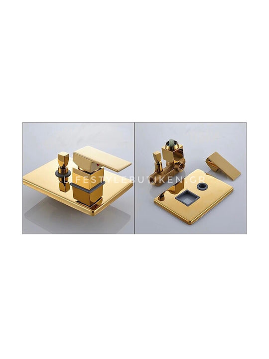 Naron Built-in Mixer & Hand Shower Set for Shower 2 Exits Inox Gold