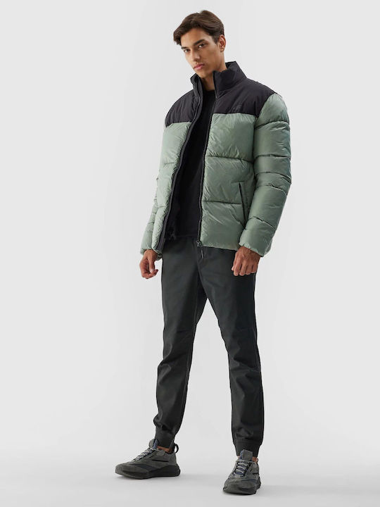 Winter Jacke Grün