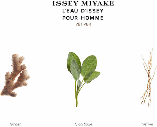 Issey Miyake L'eau D'issey Pour Homme Ανδρικό Σετ με Eau de Toilette 3τμχ