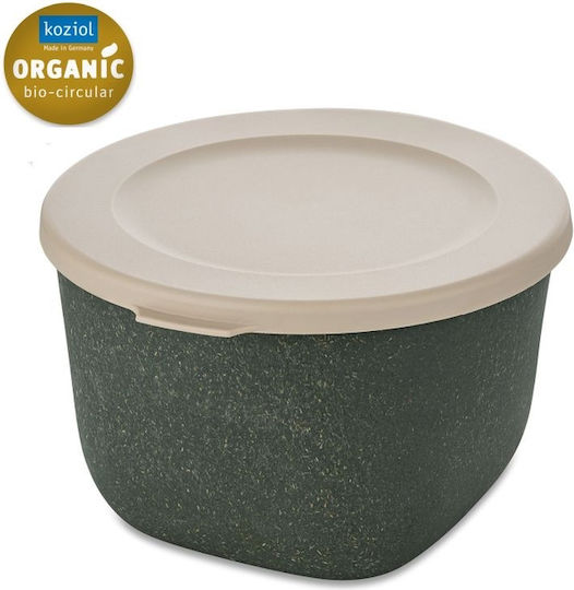 Koziol Mittagsboxen Grau 1lt