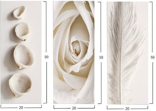 HomeMarkt Natural Elements Triplu Tablou Lemn 50x60cm