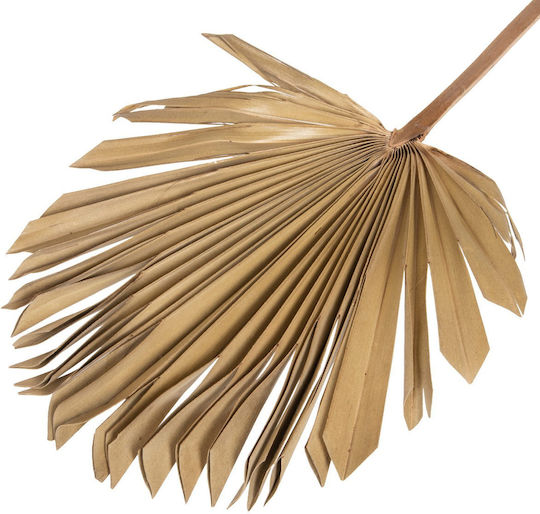 HomeMarkt Decorative Fan Handmade Brown Wicker Material 102x3x30cm