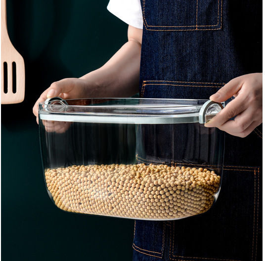 Dream House Store Kitchen Multi-Use Container with General Use Vase with Airtight Lid Plastic Transparent 19x29x32cm 1 Pieces