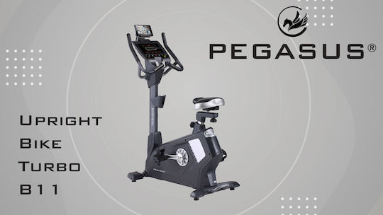 Pegasus Όρθιο Ποδήλατο Γυμναστικής Ηλεκτρομαγνητικό