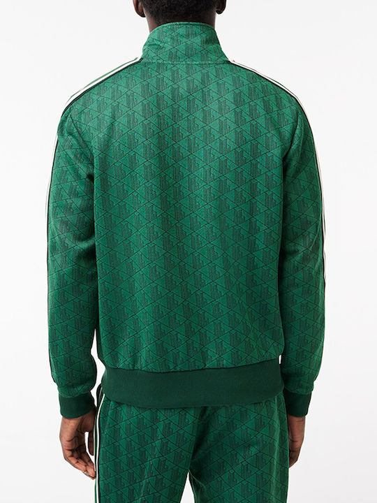 Sweatshirt Green