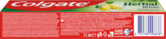 Colgate Herbal White Toothpaste for Whitening 75ml