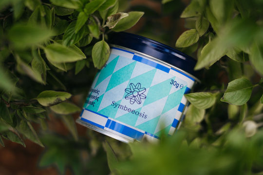 Symbeeosis Βασιλικός Βιολογικό 30gr