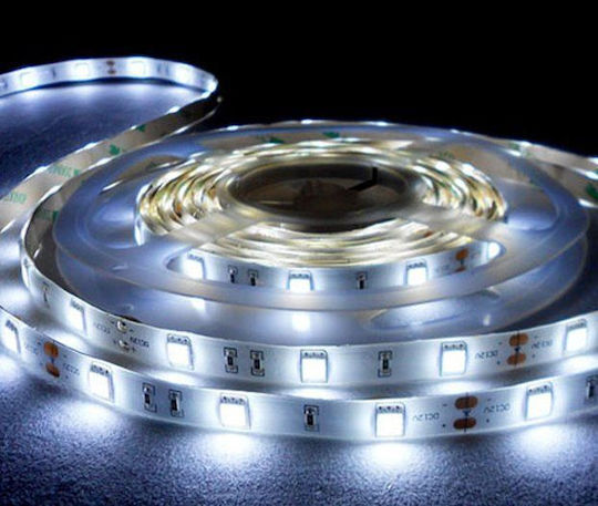 Geyer LED-Streifen 12V Kaltweiß Licht 3m Typ SMD2835