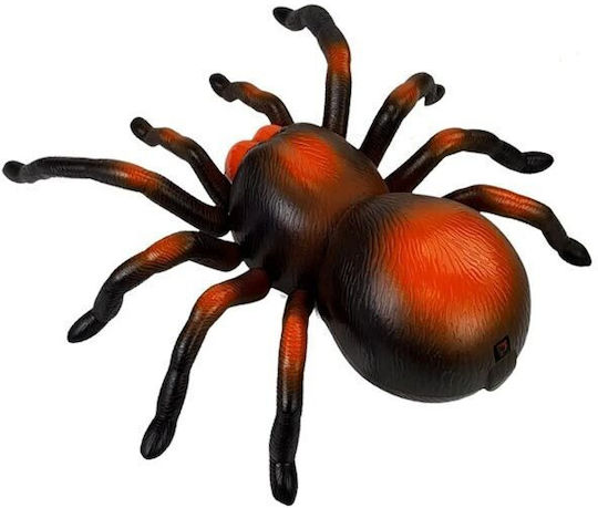 Tarantula RC Fahrzeug Schwarz Telekontrollauto