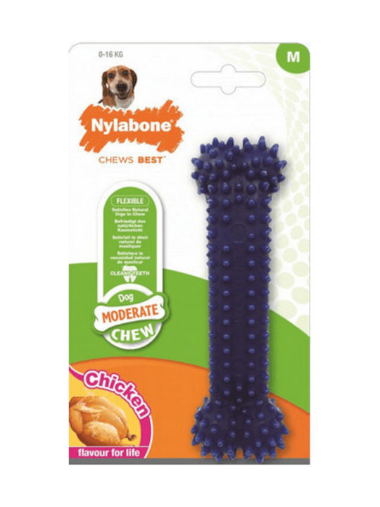 Nylabone Moderate Dental Hundespielzeug Knochen Kauen Groß Blau