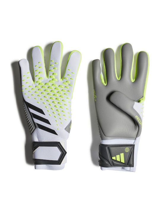 adidas Predator Competition Adults Goalkeeper Gloves White