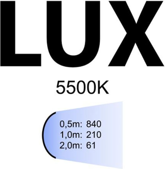 Falcon Eyes ML-40 Replacement Lamp Daylight 40W with Brightness 210 Lux