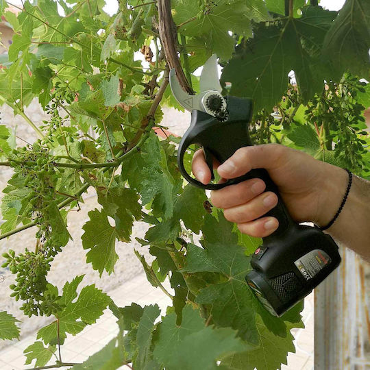 GeHock Pruning Shears Battery 16.8V 2x2.6Ah with Maximum Cutting Diameter 30mm in Carrying Case