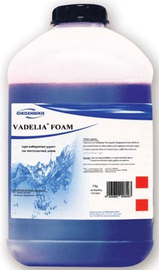 Ikochimiki Vadelia Foam Foam 5lt