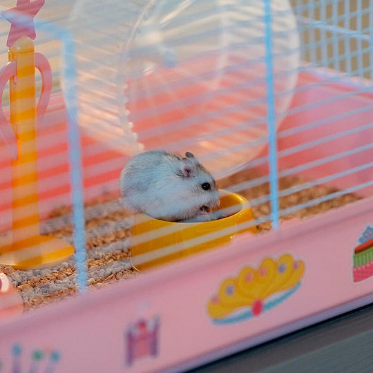 Ferplast Criceti 9 Princess Cușcă Pentru Rozătoare Cușcă Pentru Hamster 46x29.5x23cm Roz 46x29.5x23cm