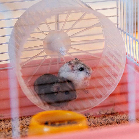 Ferplast Criceti 9 Princess Cușcă Pentru Rozătoare Cușcă Pentru Hamster 46x29.5x23cm Roz 46x29.5x23cm