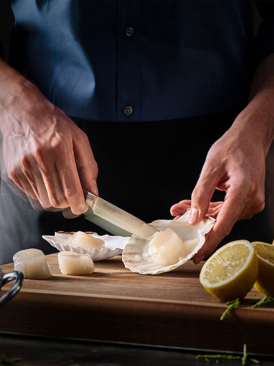 Wusthof Knife Fillet from Stainless Steel 16cm