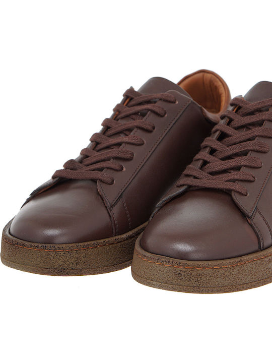 Sneakers Brown