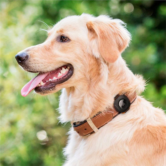 Accessories for Dog Shock Collar