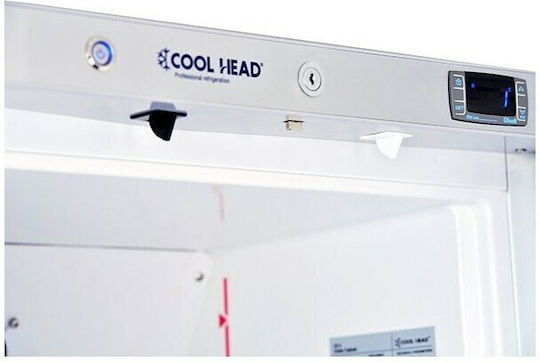 Cool Head Επαγγελματικός Mini Καταψύκτης 200lt & 370W Inox Π60 x Β68 x Υ84εκ.