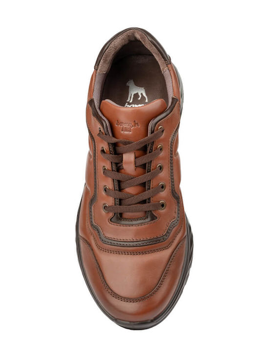Sneakers Tabac Brown