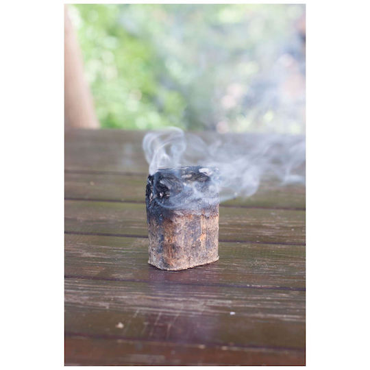 Cook in Wood Lemn Chipsuri pentru Fumat la Grătar cu Aromă Fag 200gr 4buc