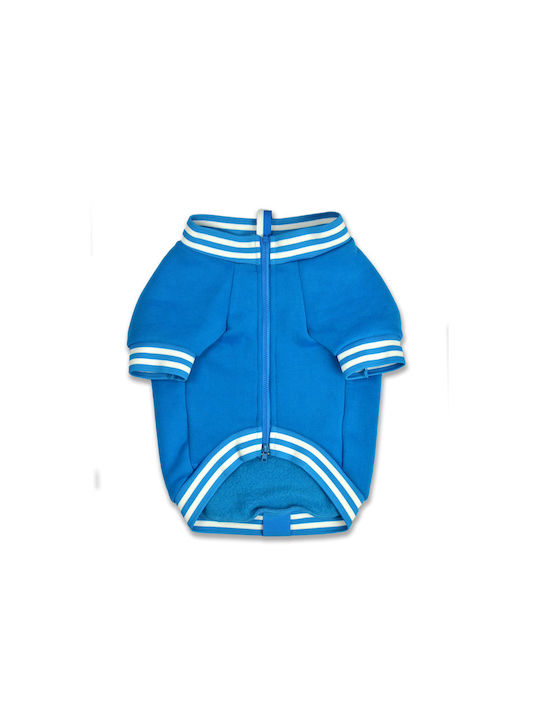 Dashi Hundeshirts für Hunde in Blau