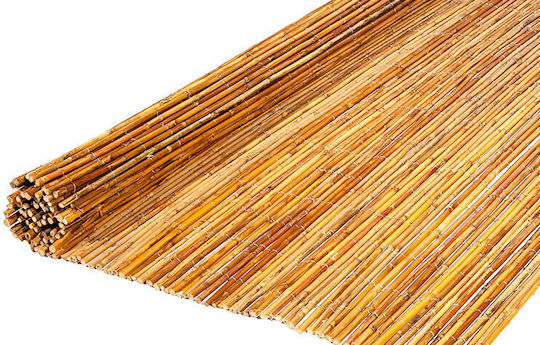 Ecoshadow Gard de Bambus cu Întregul Reed 1x5m