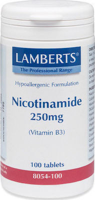 Lamberts Nicotinamide Vitamin 250mg 100 Registerkarten