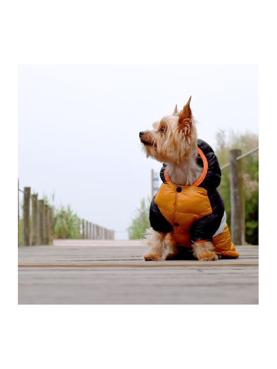 Dashi Hundemantel Wasserdicht Orange Groß mit Rückenlänge 42 cm.