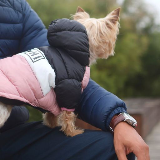 Dashi Pink Waterproof Dog Coat Small with 34cm Back Length