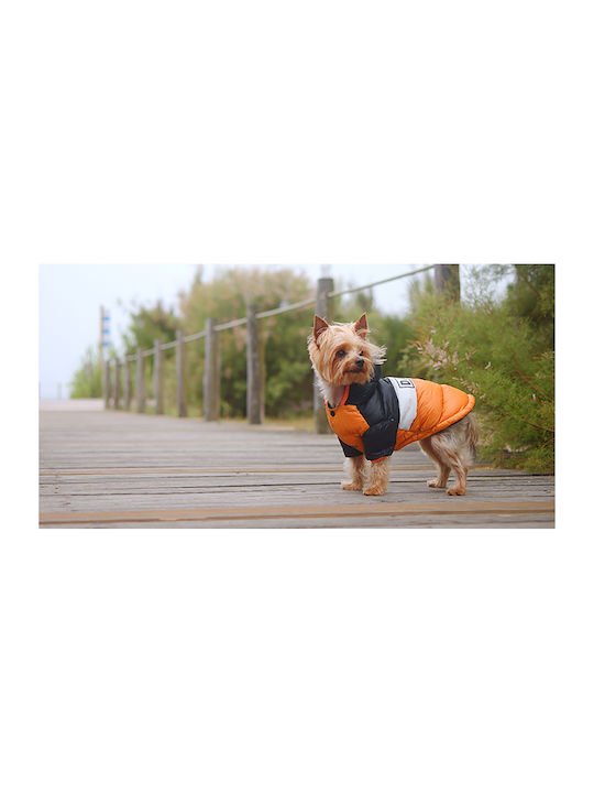 Dashi Hundemantel Wasserdicht Orange Groß mit Rückenlänge 42 cm.