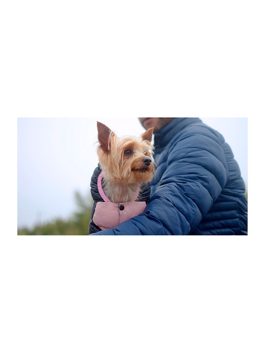 Dashi Pink Waterproof Dog Coat Small with 34cm Back Length